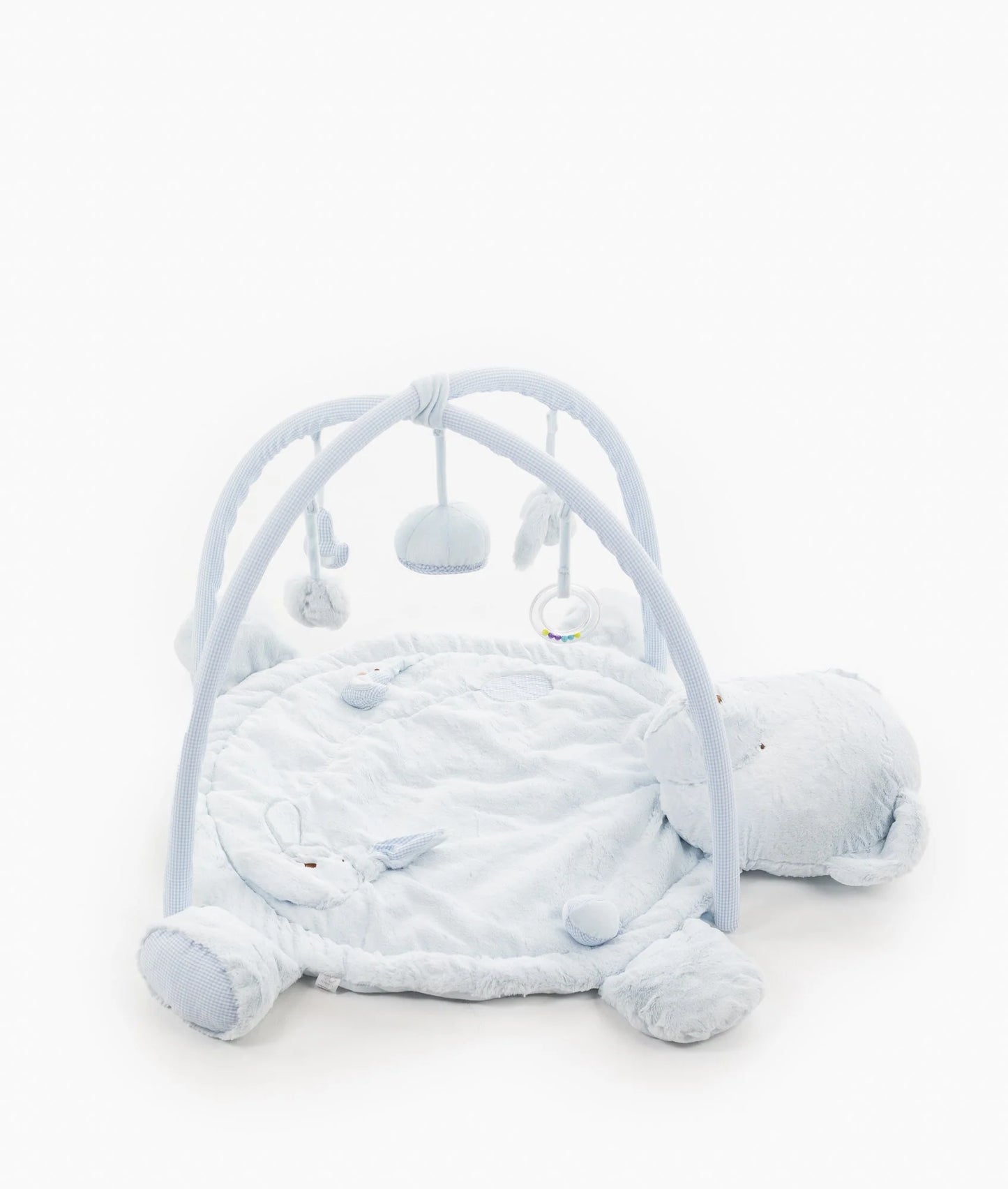 Bear Playmat & Gym | Blue