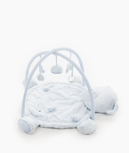 Bear Playmat & Gym | Blue