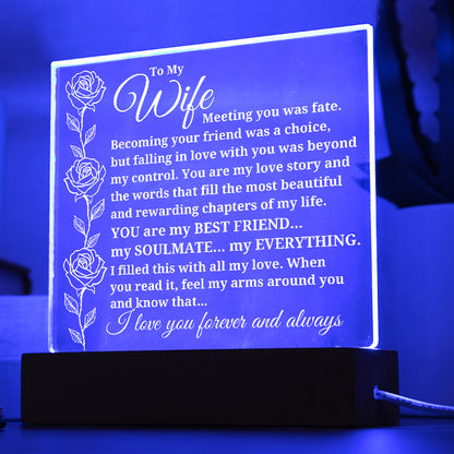 To My Wife "Meeting You Was Fate..." Acrylic Plaque with Lighted Base [BEST SELLER]