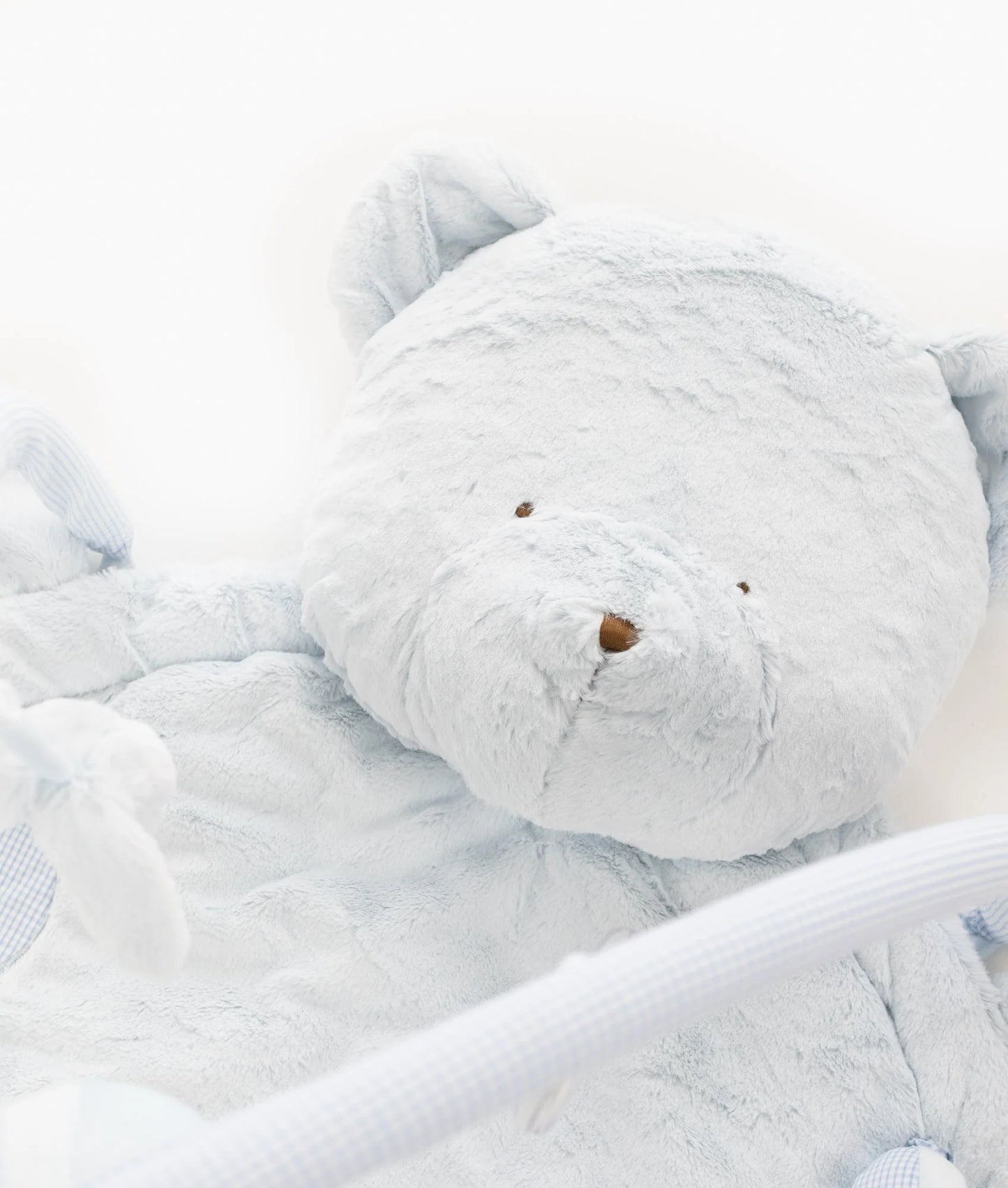 Bear Playmat & Gym | Blue