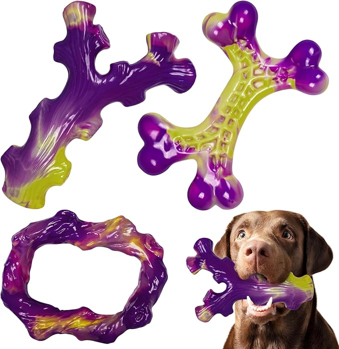 Aggressive Chewer Dog Toy Set