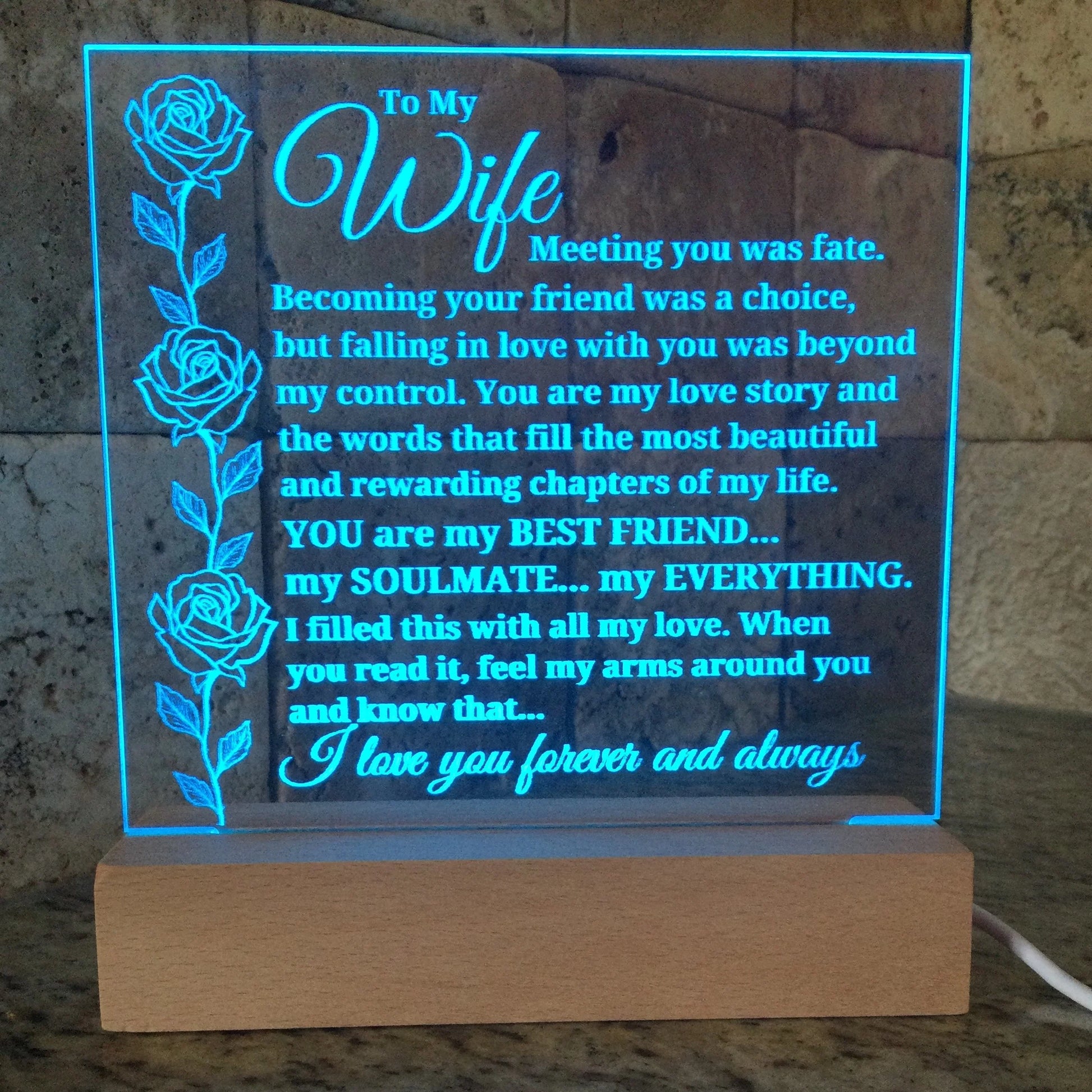 To My Wife "Meeting You Was Fate..." Acrylic Plaque with Lighted Base [BEST SELLER]