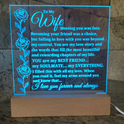 To My Wife "Meeting You Was Fate..." Acrylic Plaque with Lighted Base [BEST SELLER]