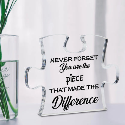 1Pc Acrylic Coworker Leaving Gift, Thank You Retirement Gift, Gift for Coworker Employee Appreciation Gift Christmas Gift