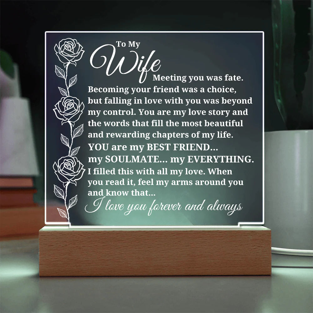 To My Wife "Meeting You Was Fate..." Acrylic Plaque with Lighted Base [BEST SELLER]