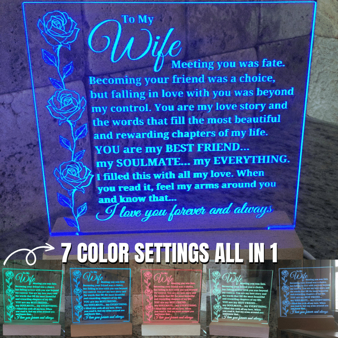To My Wife "Meeting You Was Fate..." Acrylic Plaque with Lighted Base [BEST SELLER]