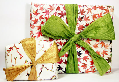 Bath & Body Spa Gift Set. 2 Small Organic Soaps, Jojoba Lotion Bar, Lip Balm. Eco-Friendly Self Care, No Waste Plastic Free Skincare Present